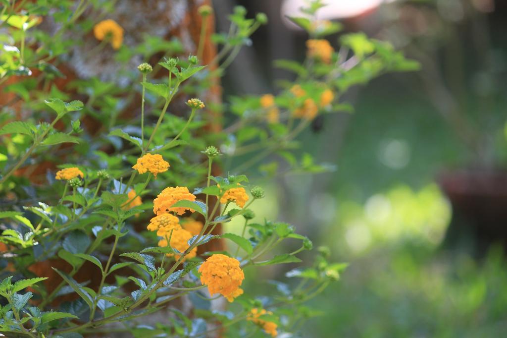 Green Ark Resorts Thekkady Bagian luar foto